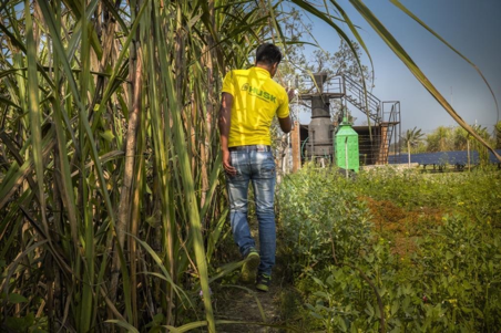 A person wearing a Husk shirt walks along a field of crops