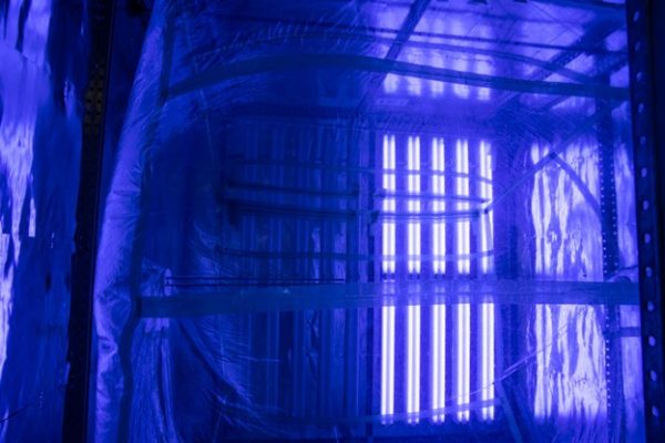ultraviolet lights lining the interior of a box to mimic the sun's effects