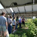 A group of people tour a solar farm, with solar panels and growing crops.