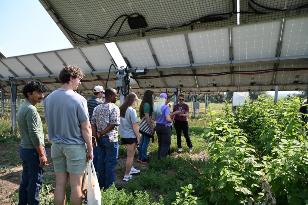 A group of people tour a solar farm, with solar panels and growing crops.